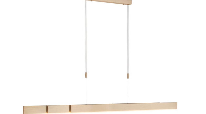 Foto Paul Neuhaus Hanglamp e-Slide L 120-200 cm mat goud