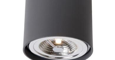 Foto Lucide DIALO-LED Spot AR111 12Wincl. Ã˜12 H12cm Grijs