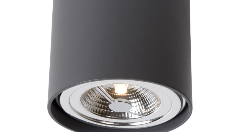 Foto Lucide DIALO-LED Spot AR111 12Wincl. Ã˜12 H12cm Grijs