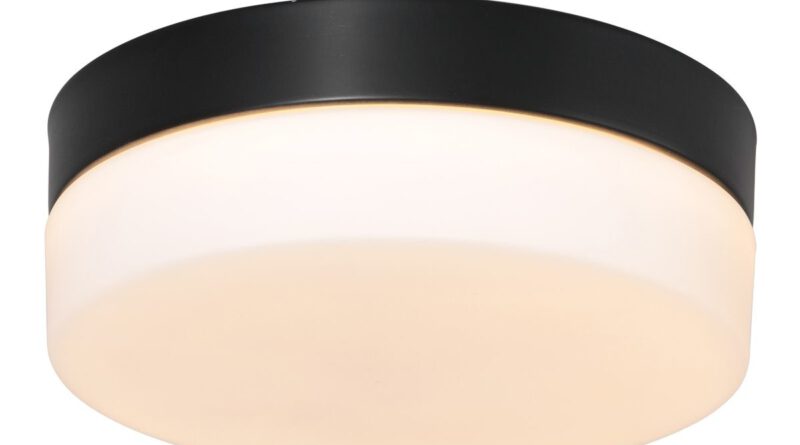 Foto Steinhauer Plafondlamp Ikaro 30 cm IP44 zwart
