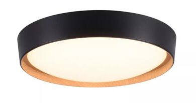 Foto Paul Neuhaus Plafondlamp Emilia 40 cm DIM hout zwart