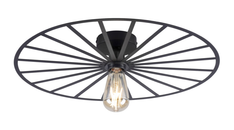 Foto Paul Neuhaus Plafondlamp Isabella 50 cm zwart