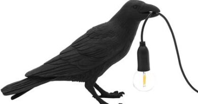 Foto Seletti Seletti Bird Waiting Tafellamp Buiten Zwart