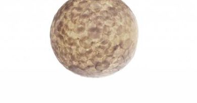 Foto villaflor Hanglamp Full Shell Ball 40cm